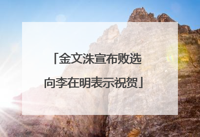 金文洙宣布败选 向李在明表示祝贺