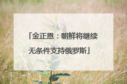 金正恩：朝鲜将继续无条件支持俄罗斯