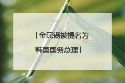 金民锡被提名为韩国国务总理