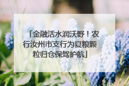 金融活水润沃野！农行汝州市支行为夏粮颗粒归仓保驾护航