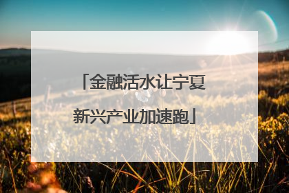 金融活水让宁夏新兴产业加速跑