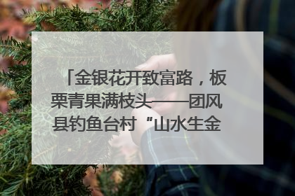金银花开致富路，板栗青果满枝头——团风县钓鱼台村“山水生金”谱写共富新篇章