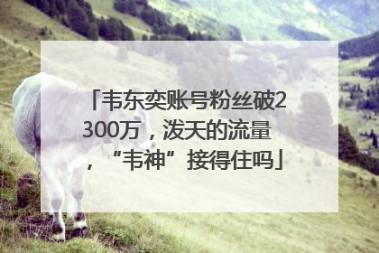 韦东奕账号粉丝破2300万，泼天的流量，“韦神”接得住吗