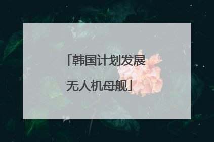 韩国计划发展无人机母舰