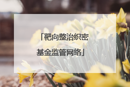 靶向整治织密基金监管网络
