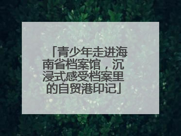 青少年走进海南省档案馆，沉浸式感受档案里的自贸港印记