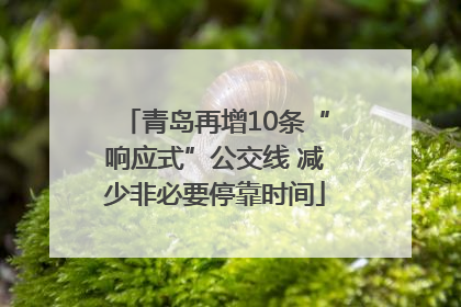 青岛再增10条“响应式”公交线 减少非必要停靠时间