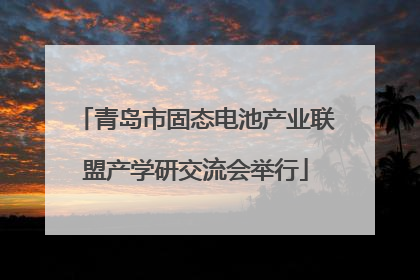 青岛市固态电池产业联盟产学研交流会举行