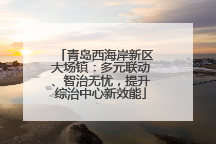 青岛西海岸新区大场镇：多元联动、智治无忧，提升综治中心新效能