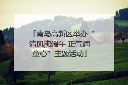 青岛高新区举办“清风拂端午 正气润童心”主题活动