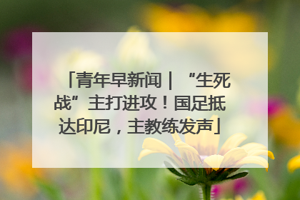 青年早新闻｜“生死战”主打进攻！国足抵达印尼，主教练发声