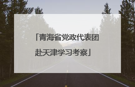 青海省党政代表团赴天津学习考察