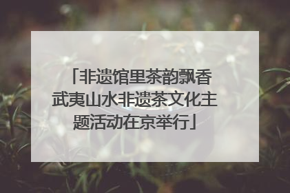 非遗馆里茶韵飘香 武夷山水非遗茶文化主题活动在京举行