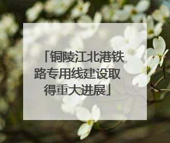 铜陵江北港铁路专用线建设取得重大进展