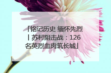 铭记历史 缅怀先烈丨苏村阻击战：126名英烈血肉筑长城