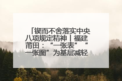 锲而不舍落实中央八项规定精神丨福建莆田：“一张表”“一张图”为基层减轻“数字负担”