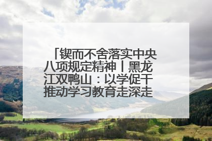 锲而不舍落实中央八项规定精神丨黑龙江双鸭山：以学促干推动学习教育走深走实 从小事入手写好“民生答卷”