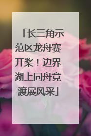 长三角示范区龙舟赛开桨！边界湖上同舟竞渡展风采