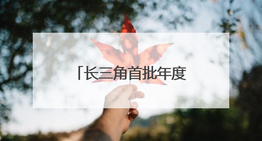 长三角首批年度一体化发展实事项目顺利完成
