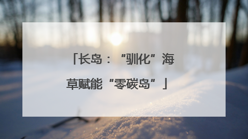 长岛：“驯化”海草赋能“零碳岛”