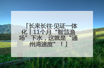 长来长往·见证一体化丨11个月“智慧渔场”下水，这就是“通州湾速度”！