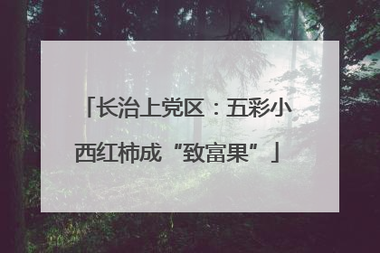 长治上党区：五彩小西红柿成“致富果”