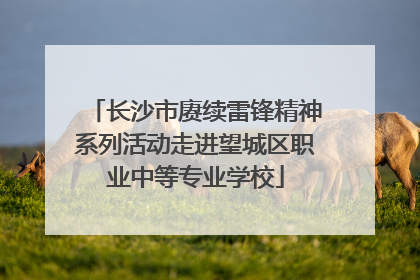 长沙市赓续雷锋精神系列活动走进望城区职业中等专业学校