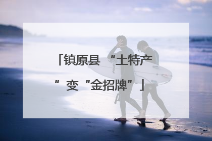 镇原县 “土特产”变“金招牌”