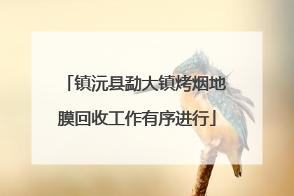 镇沅县勐大镇烤烟地膜回收工作有序进行
