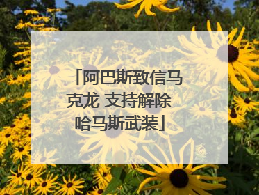阿巴斯致信马克龙 支持解除哈马斯武装