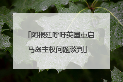 阿根廷呼吁英国重启马岛主权问题谈判