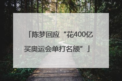 陈梦回应“花400亿买奥运会单打名额”