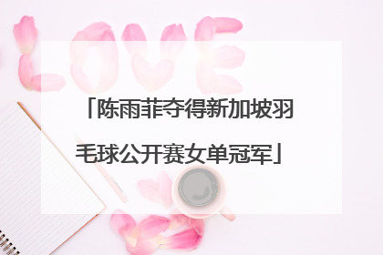 陈雨菲夺得新加坡羽毛球公开赛女单冠军