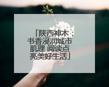 陕西神木：书香浸润城市肌理 阅读点亮美好生活