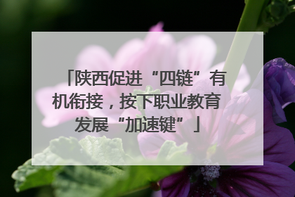 陕西促进“四链”有机衔接，按下职业教育发展“加速键”