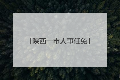 陕西一市人事任免