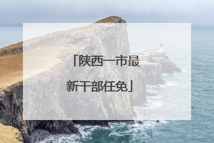 陕西一市最新干部任免