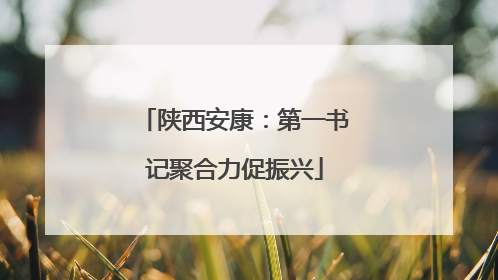 陕西安康：第一书记聚合力促振兴