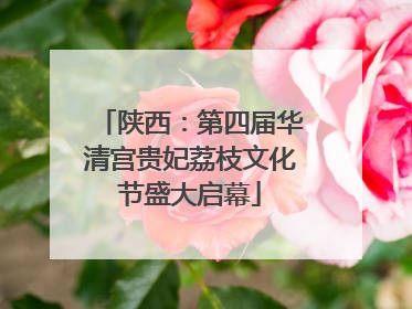 陕西：第四届华清宫贵妃荔枝文化节盛大启幕