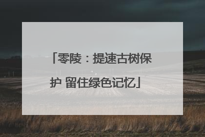 零陵：提速古树保护 留住绿色记忆