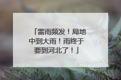 雷雨频发！局地中到大雨！雨终于要到河北了！