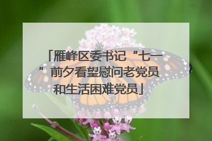 雁峰区委书记“七一”前夕看望慰问老党员和生活困难党员