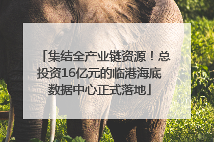 集结全产业链资源！总投资16亿元的临港海底数据中心正式落地