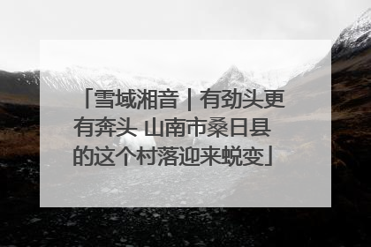 雪域湘音｜有劲头更有奔头 山南市桑日县的这个村落迎来蜕变
