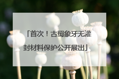 首次！古蜀象牙无灌封材料保护公开展出