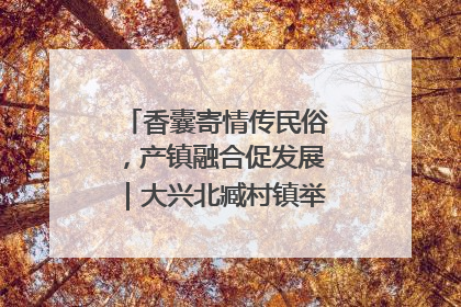 香囊寄情传民俗，产镇融合促发展｜大兴北臧村镇举办端午主题活动