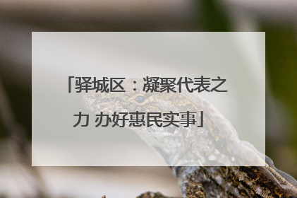 驿城区：凝聚代表之力 办好惠民实事