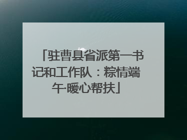 驻曹县省派第一书记和工作队：粽情端午·暖心帮扶