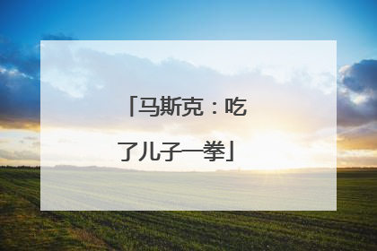 马斯克：吃了儿子一拳