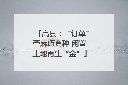 高县：“订单”苎麻巧套种 闲置土地再生“金”